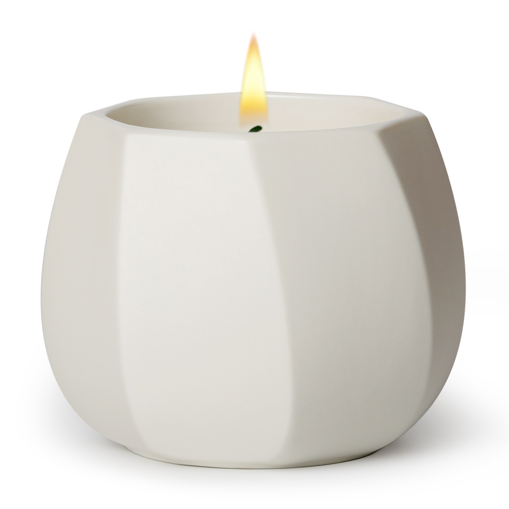 Picture of Scented Candle for Home Scented, Luxury Ceramic Candle Jar for Women & Men, Natural Soy Candle for Home Décor, Coconut & Tuberose Blossom